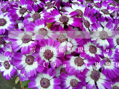信用卡逾期規(guī)則變化(信用卡逾期規(guī)則變化)