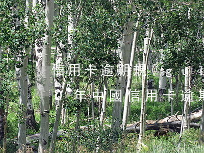 信用卡逾期規(guī)模2020(2020年中國信用卡逾期率)