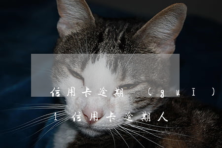 信用卡逾期規(guī)模2021(2021信用卡逾期人數)