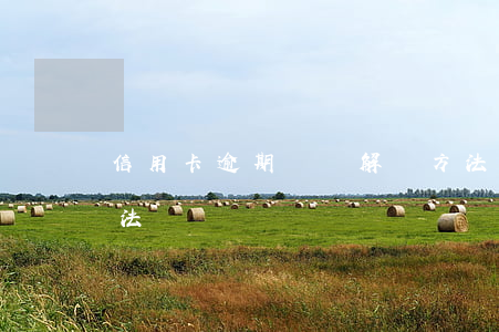 信用卡逾期視頻解決方法(信用卡逾期處理方法)