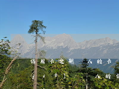 信用卡逾期親人的卡會(huì)被凍結(jié)嗎(愛人的信用卡逾期會(huì)凍結(jié)我的財(cái)產(chǎn)嗎)