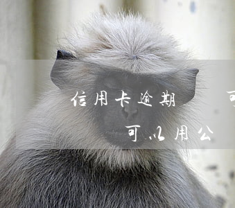 信用卡逾期親屬可以用公積金嗎(信用卡逾期親屬可以用公積金嗎)