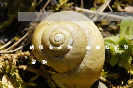 信用卡逾期親戚朋友(接到電話說朋友信用卡逾期)