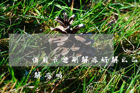 信用卡逾期解冻好解么(已被冻结的信用卡能解冻吗)