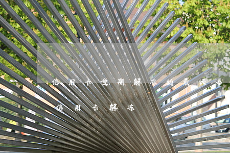 信用卡逾期解冻的最快办法(工商逾期90天信用卡解冻)