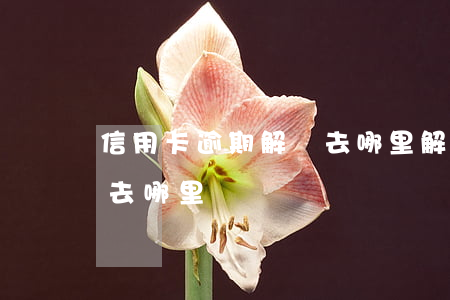 信用卡逾期解凍去哪里解凍（信用卡逾期解凍去哪里）