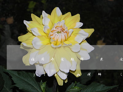 信用卡逾期解凍失敗 逾期后信用卡被凍結(jié)如何解開(kāi)?