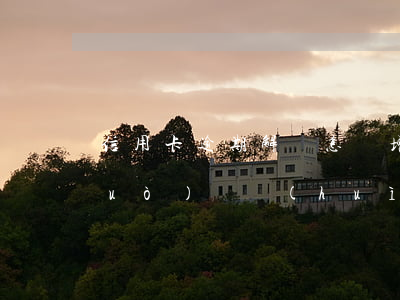 信用卡逾期解凍怎樣增額(信用卡逾期過(guò)還會(huì)漲額度嗎)