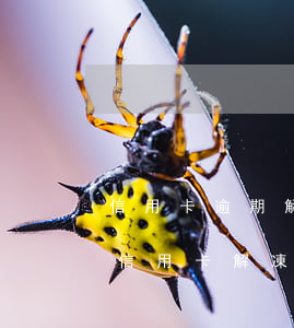 信用卡逾期解凍的最快辦法(工商逾期90天信用卡解凍)
