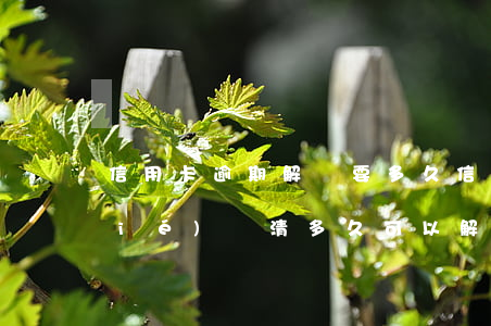 信用卡逾期解凍要多久(信用卡逾期凍結(jié)還清多久可以解凍正常使用)