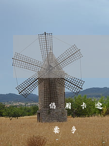信用卡逾期解凍要多長時間(信用卡逾期解凍要多長時間才能用)