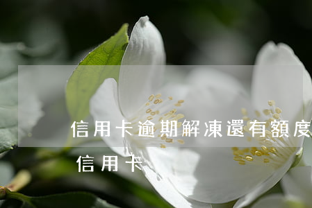 信用卡逾期解凍還有額度么(逾期多久會凍結信用卡)