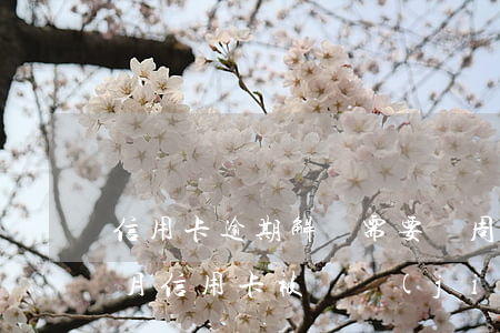 信用卡逾期解凍需要兩周(逾期一個(gè)月信用卡被凍結(jié))