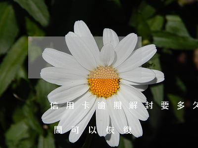 信用卡逾期解封要多久 封了的信用卡,多長時間可以恢復
