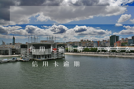 信用卡逾期解決方案怎么寫的呀(低成本解決信用卡逾期)