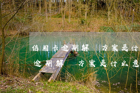 信用卡逾期解決方案是什么意思啊-信用卡逾期解決方案是什么意思啊知乎