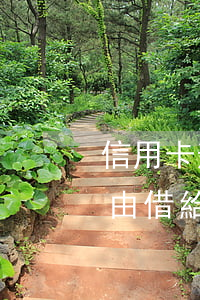 信用卡逾期解釋(信用卡逾期解釋一個合理理由借給別人)