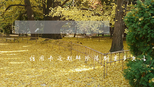 信用卡逾期解除限制要多久以內(nèi)
