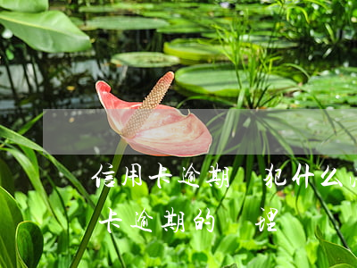信用卡逾期觸犯什么法(2021年對于信用卡逾期的處理)