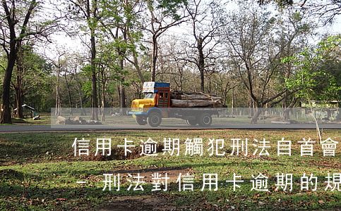 信用卡逾期觸犯刑法自首會(huì)如何-刑法對信用卡逾期的規(guī)定