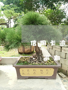 信用卡逾期計入數(shù)據(jù)庫-逾期報送金融數(shù)據(jù)庫