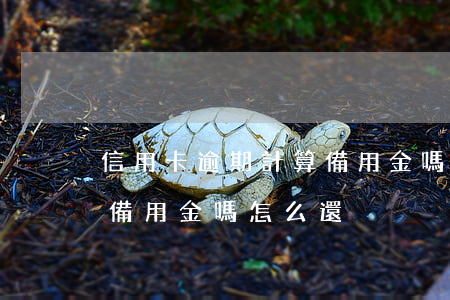 信用卡逾期計算備用金嗎-信用卡逾期計算備用金嗎怎么還