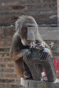 信用卡逾期計費方式(逾期費用計算公式)