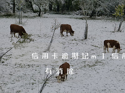 信用卡逾期記m1(信用卡逾期記錄超過五年沒有消除)