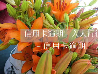 信用卡逾期記入人行征信會(huì)怎么樣-信用卡逾期記入人行征信會(huì)怎么樣嗎