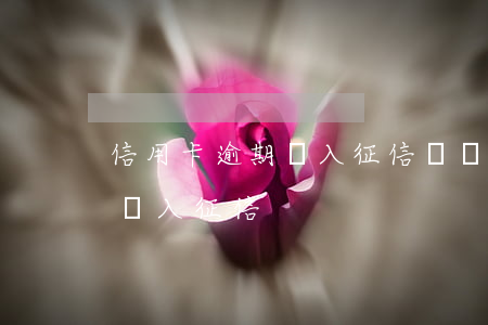 信用卡逾期記入征信記錄(信用卡逾期多久會記入征信)