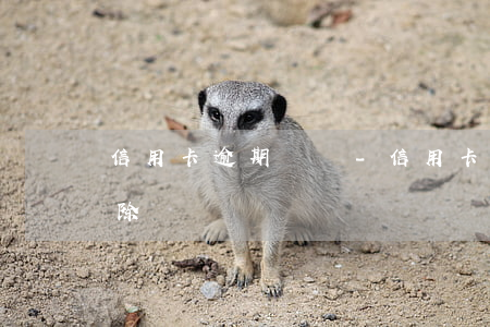 信用卡 逾期記錄-信用卡逾期記錄多久能消除