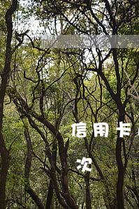 信用卡逾期記錄17次（信用卡逾期記錄17次）
