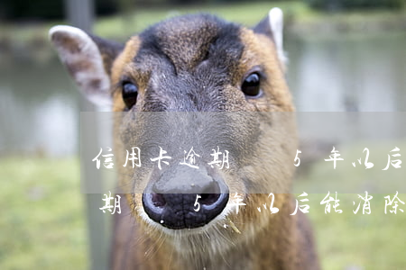 信用卡逾期記錄5年以后能消除嗎 信用卡逾期記錄5年以后能消除嗎貼吧