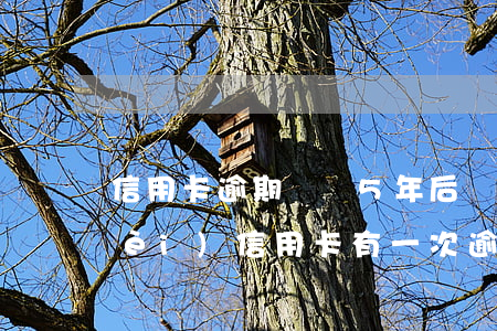信用卡逾期記錄5年后還不消除(五年內(nèi)信用卡有一次逾期)
