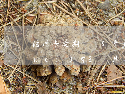 信用卡逾期記錄5年后還在(信用卡5年內(nèi)有2個月處于逾期狀態(tài))