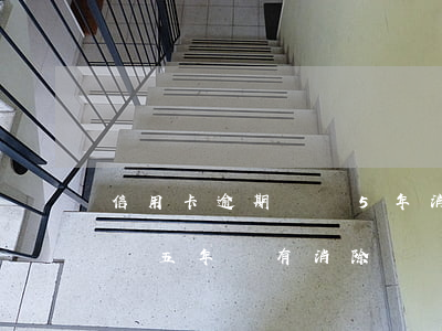 信用卡逾期記錄5年消除(信用卡逾期記錄超過五年沒有消除)