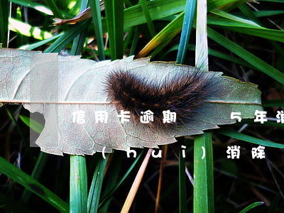 信用卡逾期記錄5年消除嗎(信用卡逾期五年會(huì)消除嗎)