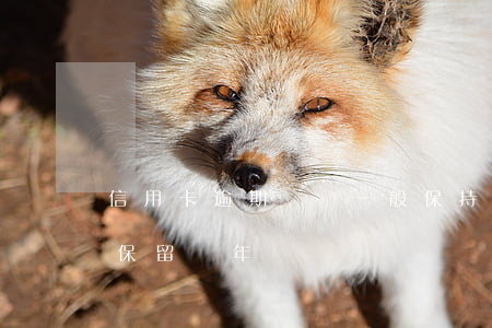信用卡逾期記錄一般保持幾年(信用逾期記錄保留幾年)