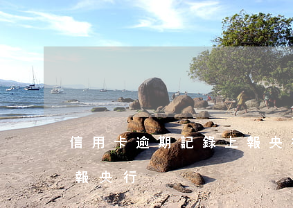 信用卡逾期記錄上報央行（信用卡逾期記錄上報央行）
