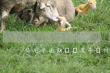 信用卡逾期記錄五年從什么時候算