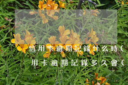 信用卡逾期記錄什么時(shí)候清除(信用卡逾期記錄多久會(huì)消除)