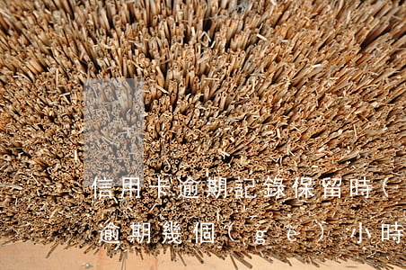 信用卡逾期記錄保留時(shí)間(信用卡逾期幾個(gè)小時(shí)會(huì)有不良記錄嗎)