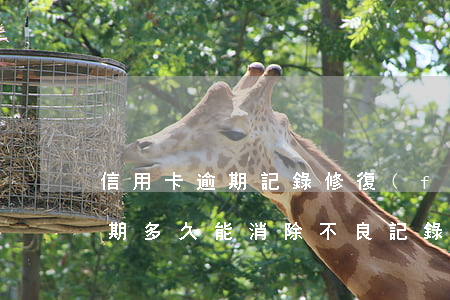 信用卡逾期記錄修復(fù)公司(信用卡逾期多久能消除不良記錄)