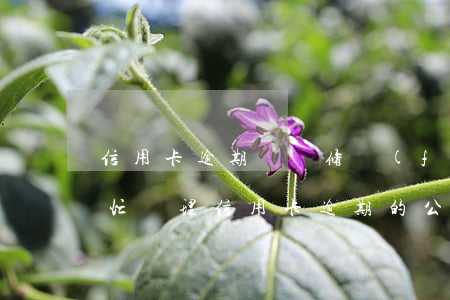信用卡逾期記錄修復(fù)公司(有沒有幫忙處理信用卡逾期的公司)