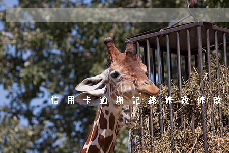 信用卡逾期記錄修改(修改逾期記錄理由)