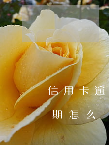 信用卡逾期記錄再存大額款(好幾張信用卡逾期怎么辦)