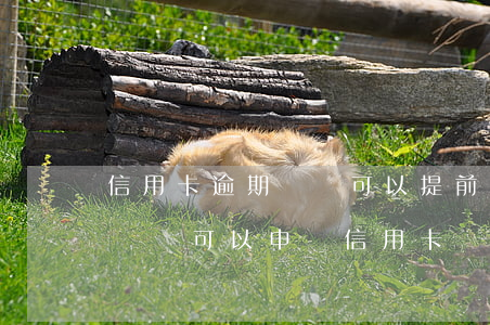 信用卡逾期記錄可以提前消除嗎 有過逾期記錄還可以申請信用卡嗎