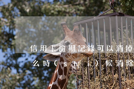 信用卡逾期記錄可以消掉嗎(逾期信用記錄什么時(shí)候消除)