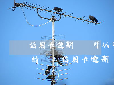 信用卡逾期記錄可以申請(qǐng)撤銷的嗎-信用卡逾期記錄可以申請(qǐng)撤銷的嗎怎么辦