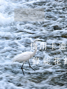 信用卡逾期記錄可以花錢消除嗎(征信逾期記錄能花錢消除嗎)